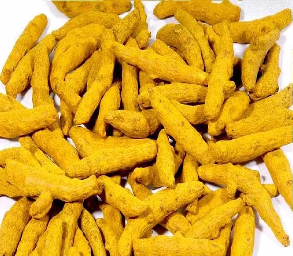 Rajapuri Whole Turmeric Fingers - Food & Agriculture by Oviya Universal LLP