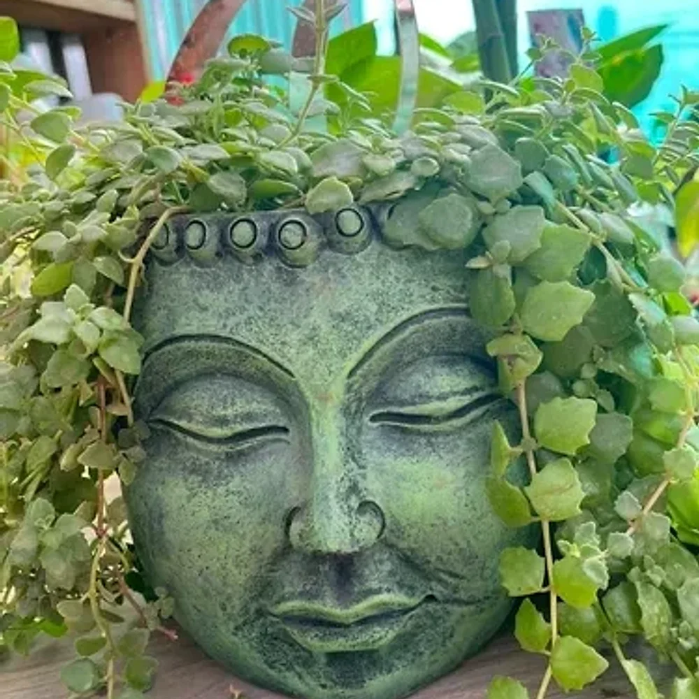 Terracotta Resin Buddha Head Planter Pot - Home & Kitchen by Cerra and Terra Home Decor