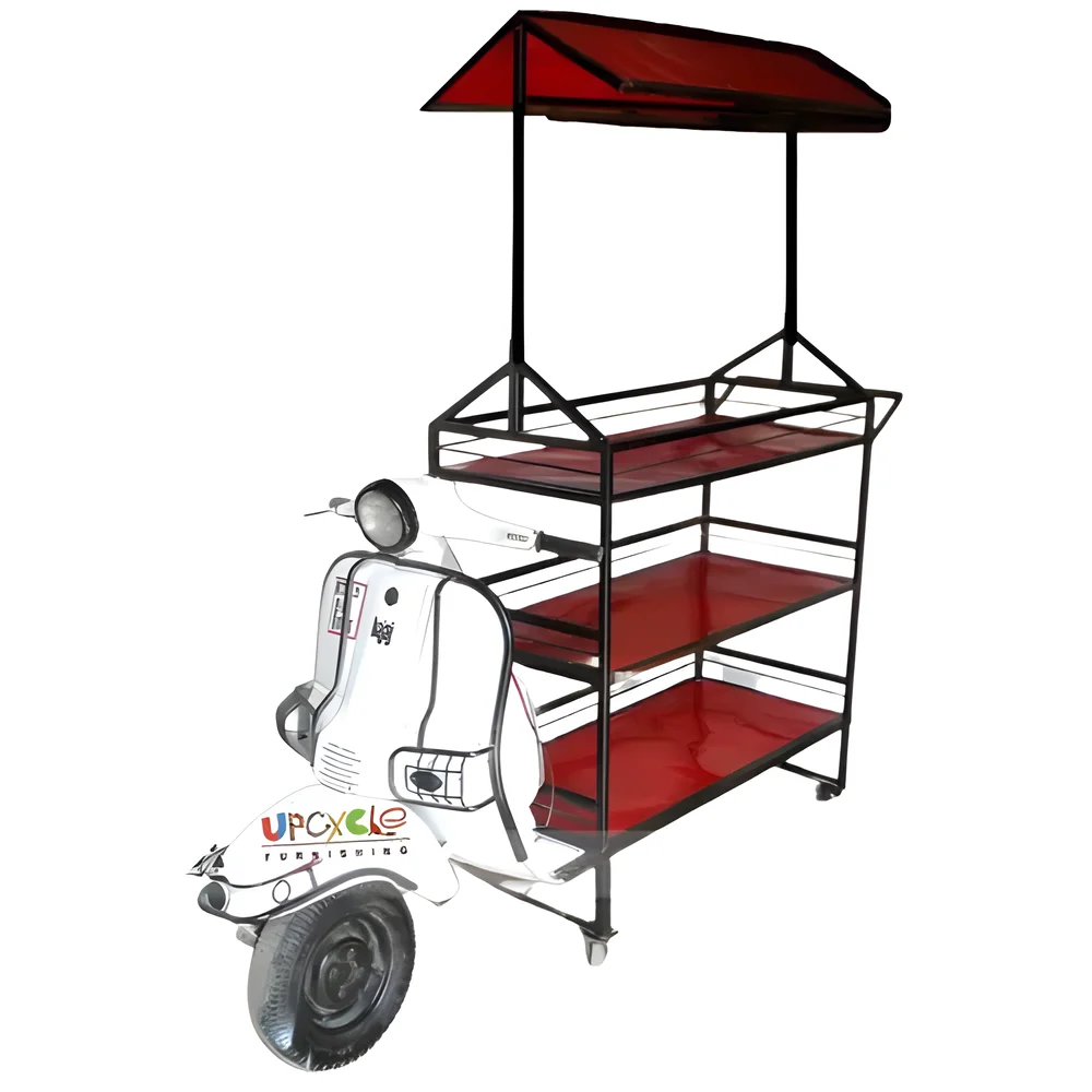Scooter Element Display Unit - Home & Kitchen by Upcycle Furnishing India