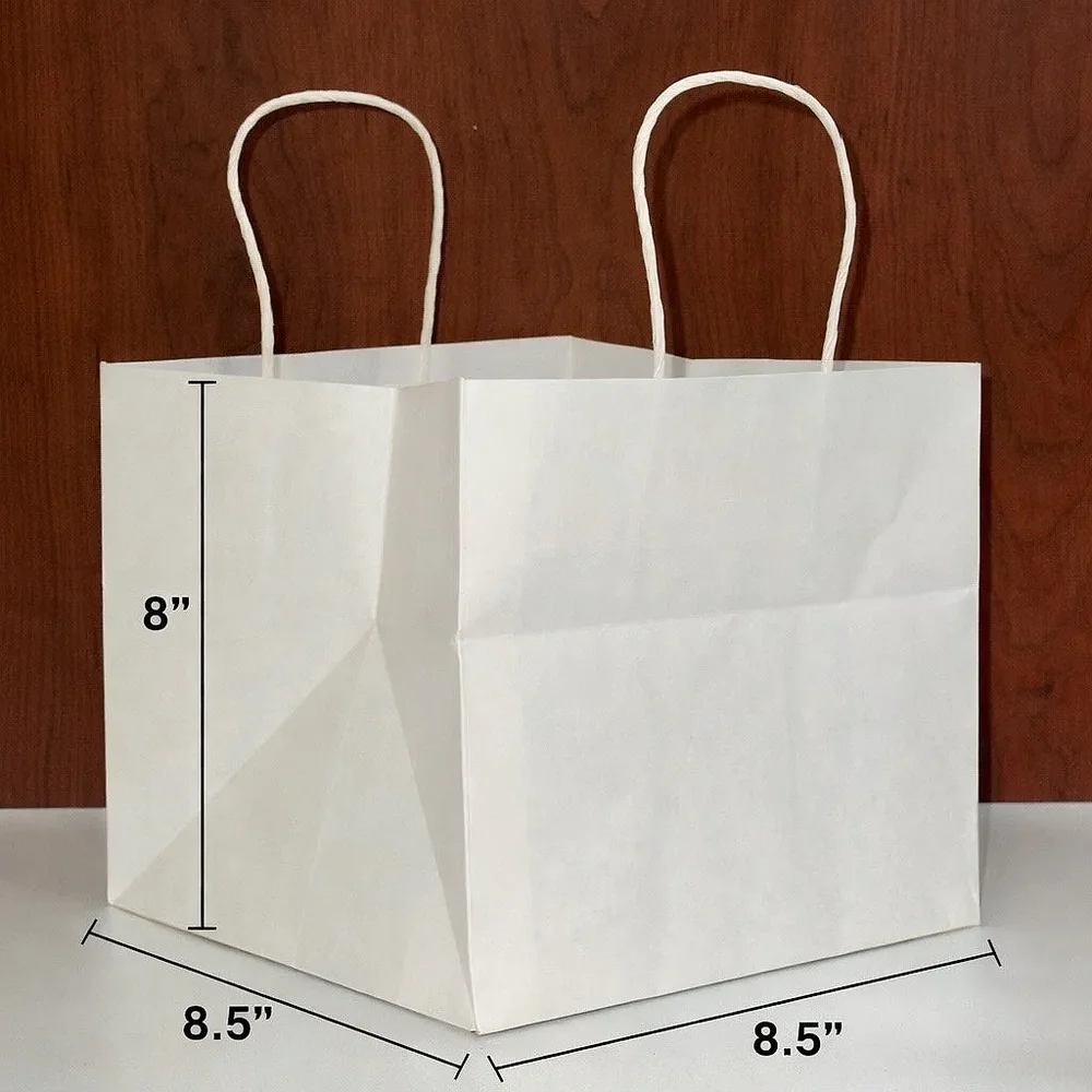 White Kraft Paper Carry Bags with Twisted Handles - Packaging & Printing by Hindustan Handmade Paper Products