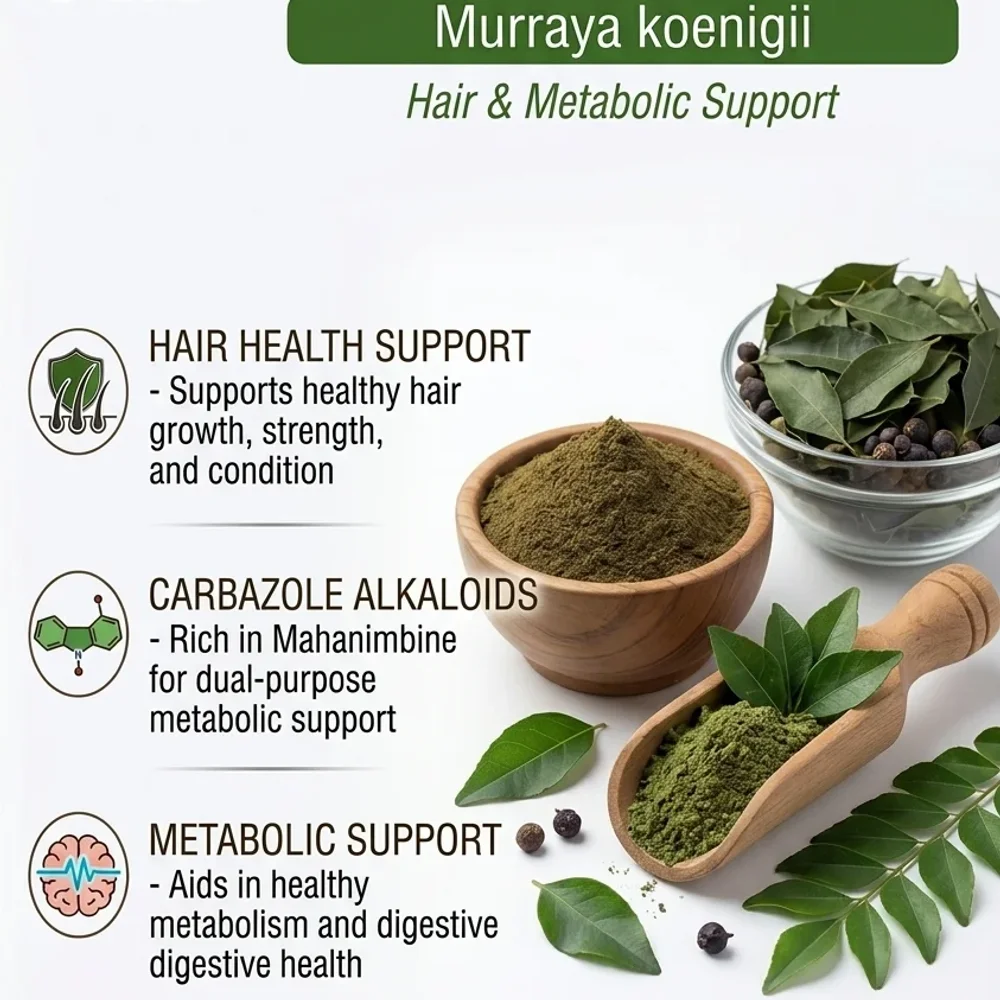 Curry Leaf Extract Powder (Murraya Koenigii) - Mahanimbine/Carbazole Alkaloids - Food & Agriculture by Central Trade Agency Pvt. Ltd.