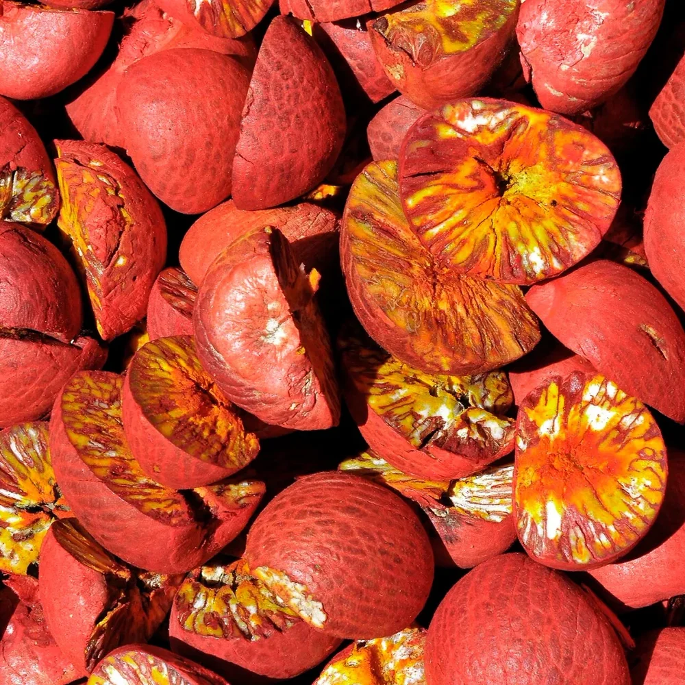Premium Areca Nuts - Food & Agriculture by C R a Exim