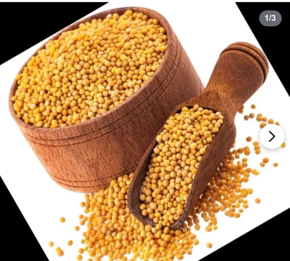 Dried Yellow Mustard Seeds Pusa 0031 - Food & Agriculture by Sakha Exporter