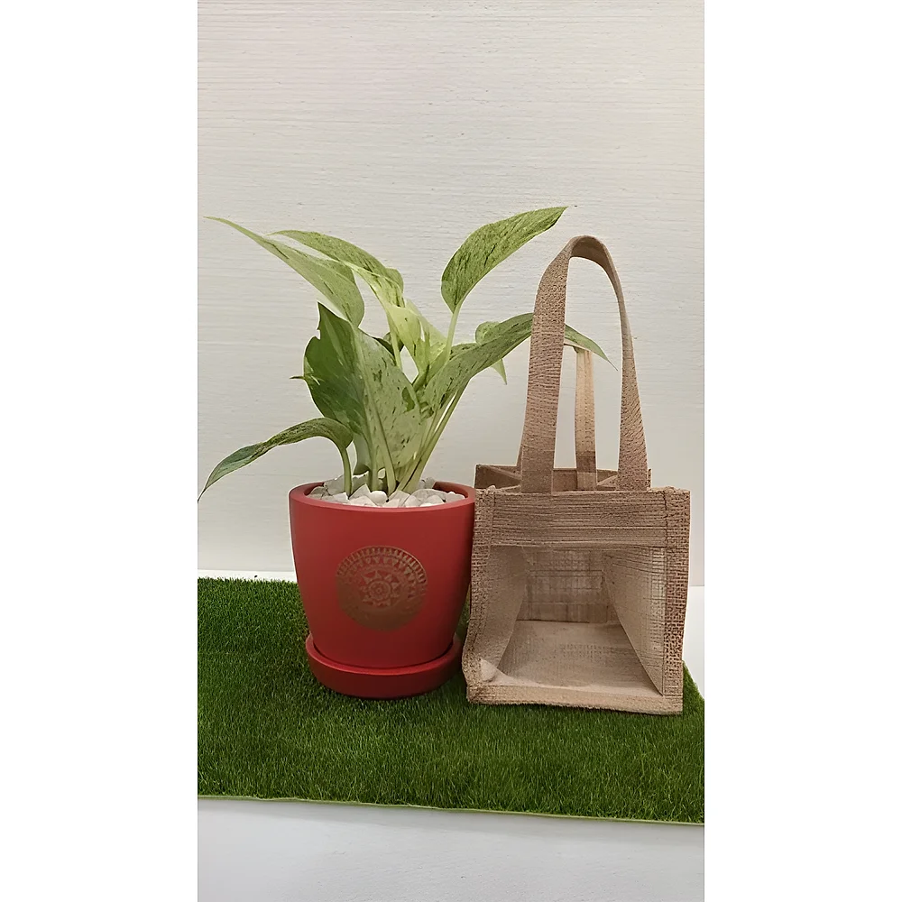 Red Ceramic Planter with Marble Pothos Plant - Home & Kitchen by Cerra and Terra Home Decor