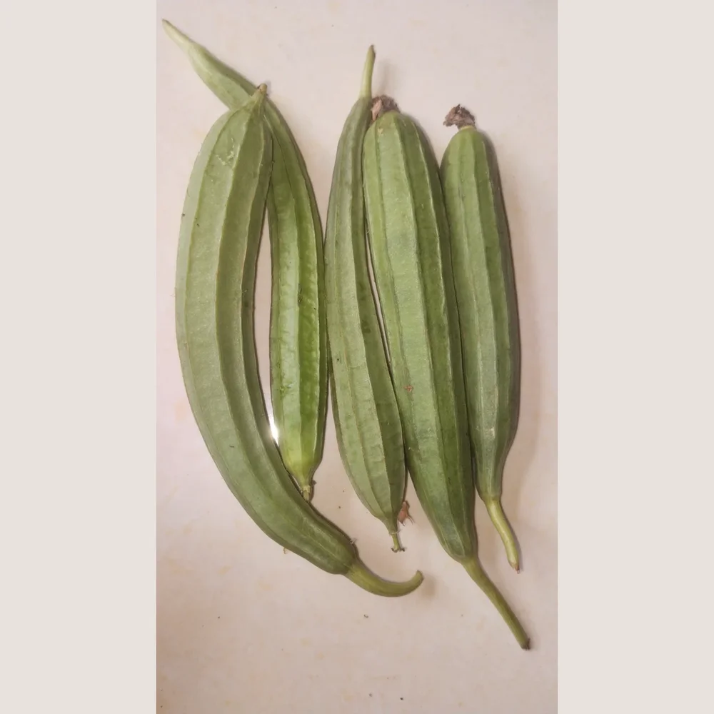 Fresh Ridge Gourd - Food & Agriculture by Vkss