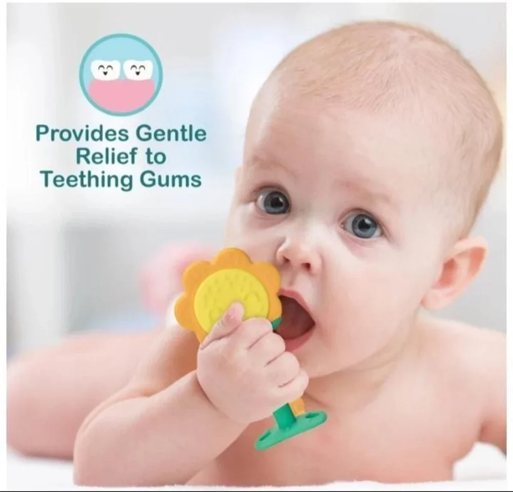 Silicone Fruit Teether for Babies - Plastics & Rubber by Shree Anant International