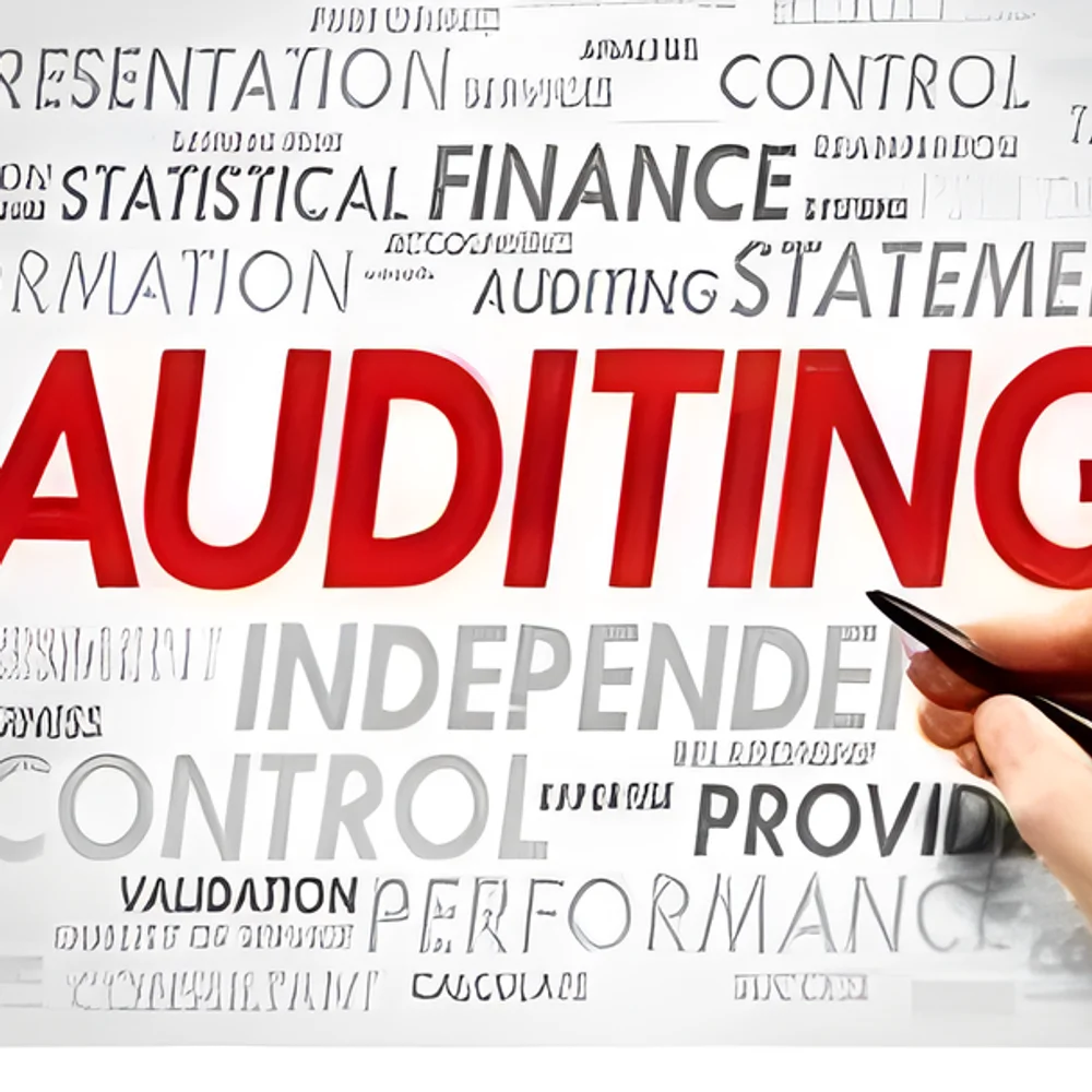 Retainer Based Personal Audit Service - Business & Professional Services by Zing Enterprises