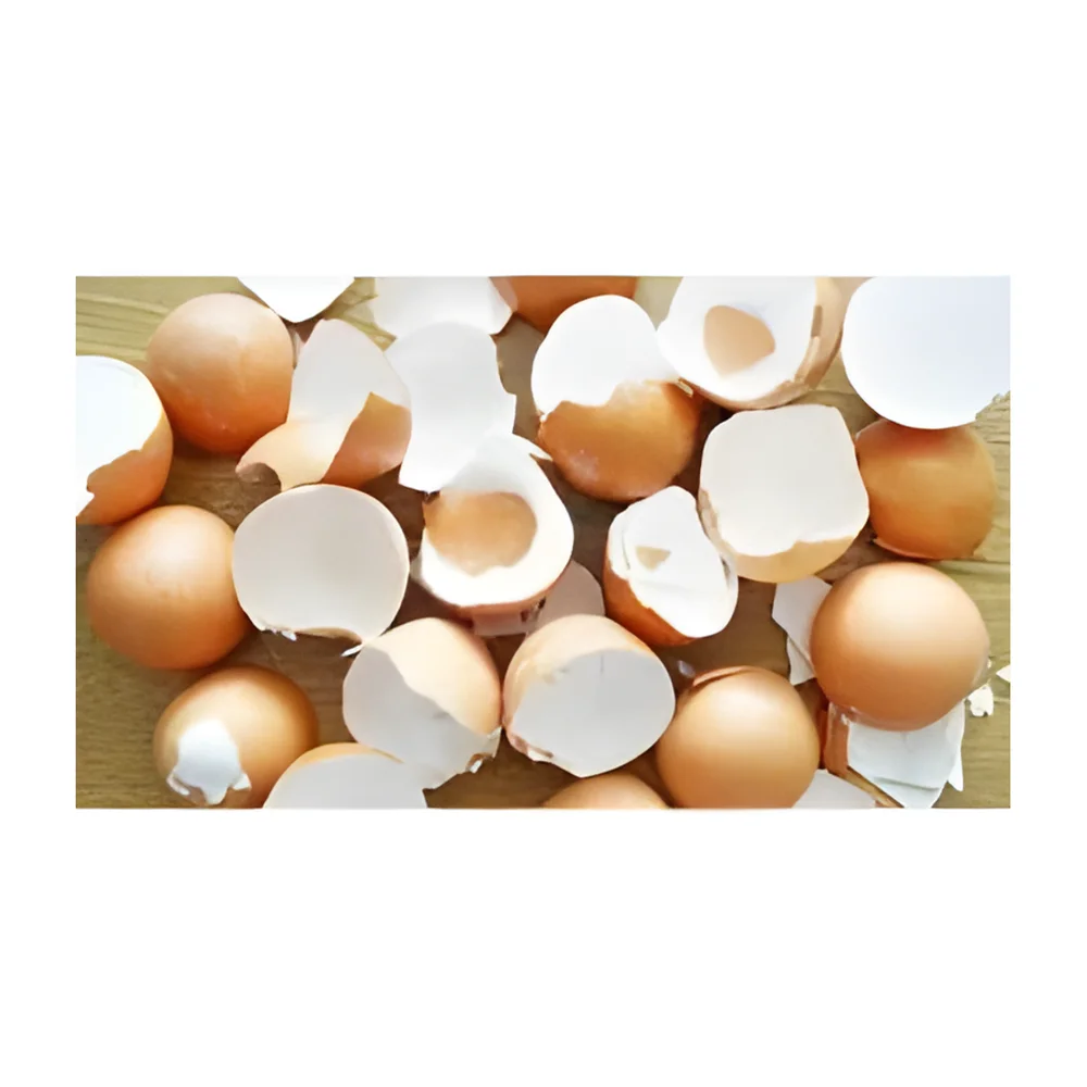 Eggshell Calcium Powder for Organic Fertilizer - Chemicals & Raw Materials by Shri Vinayaga Traders