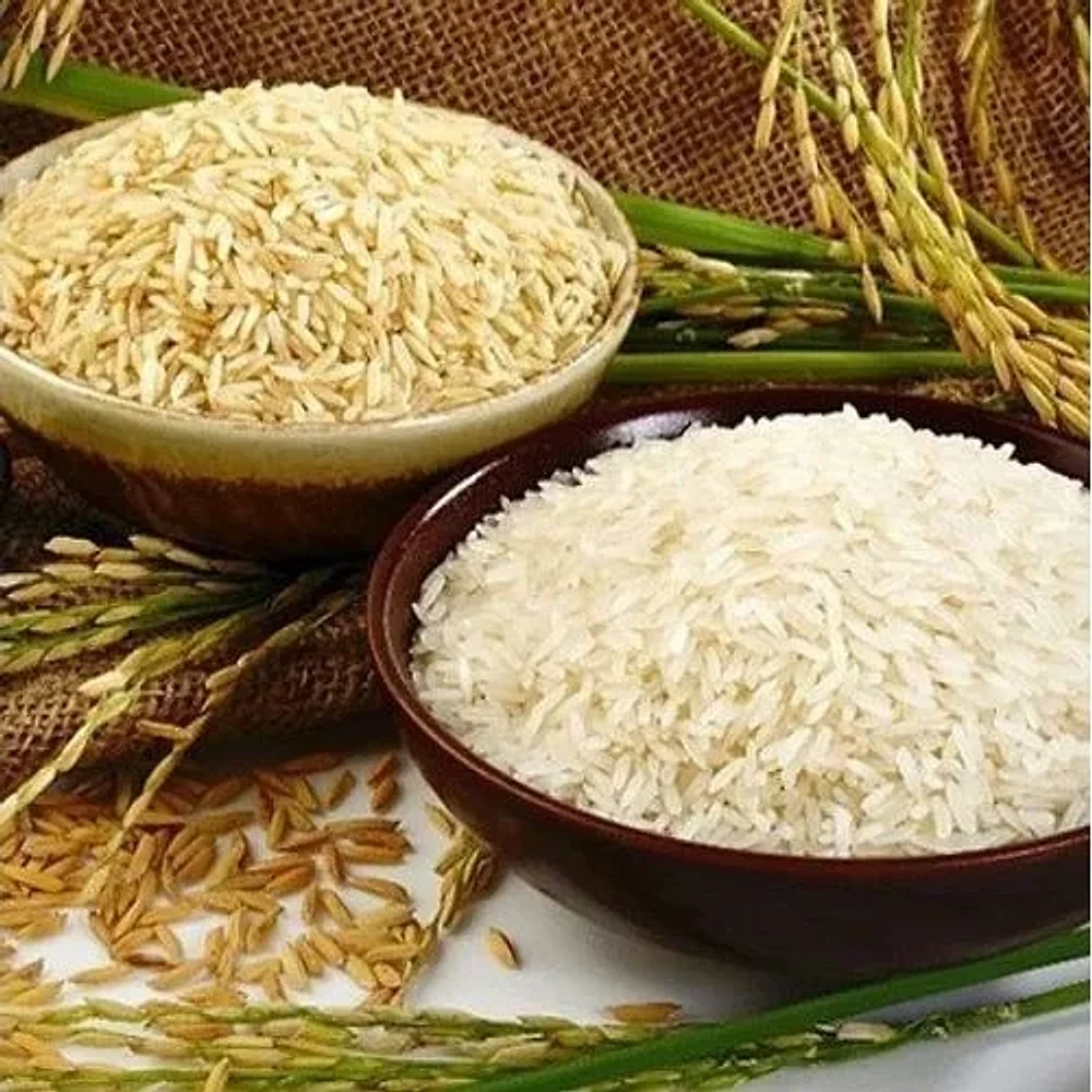 Export Quality Sona Masuri Rice for Daily Meals - Food & Agriculture by San Trading