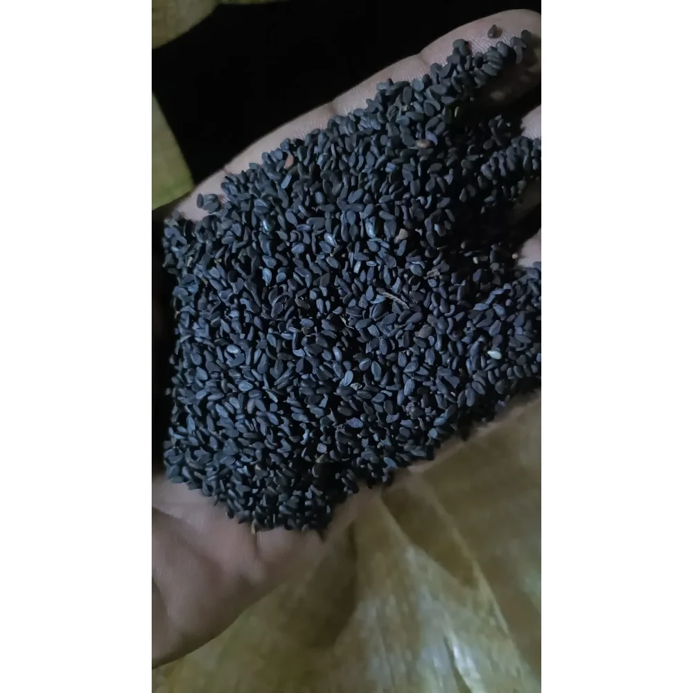 Black Sesame Seeds Bulk - Food & Agriculture by Clesso Technocast Pvt. Ltd.