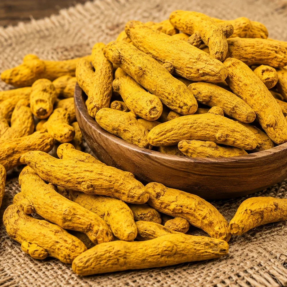 Premium Sun-Dried Turmeric - Food & Agriculture by PranExpo