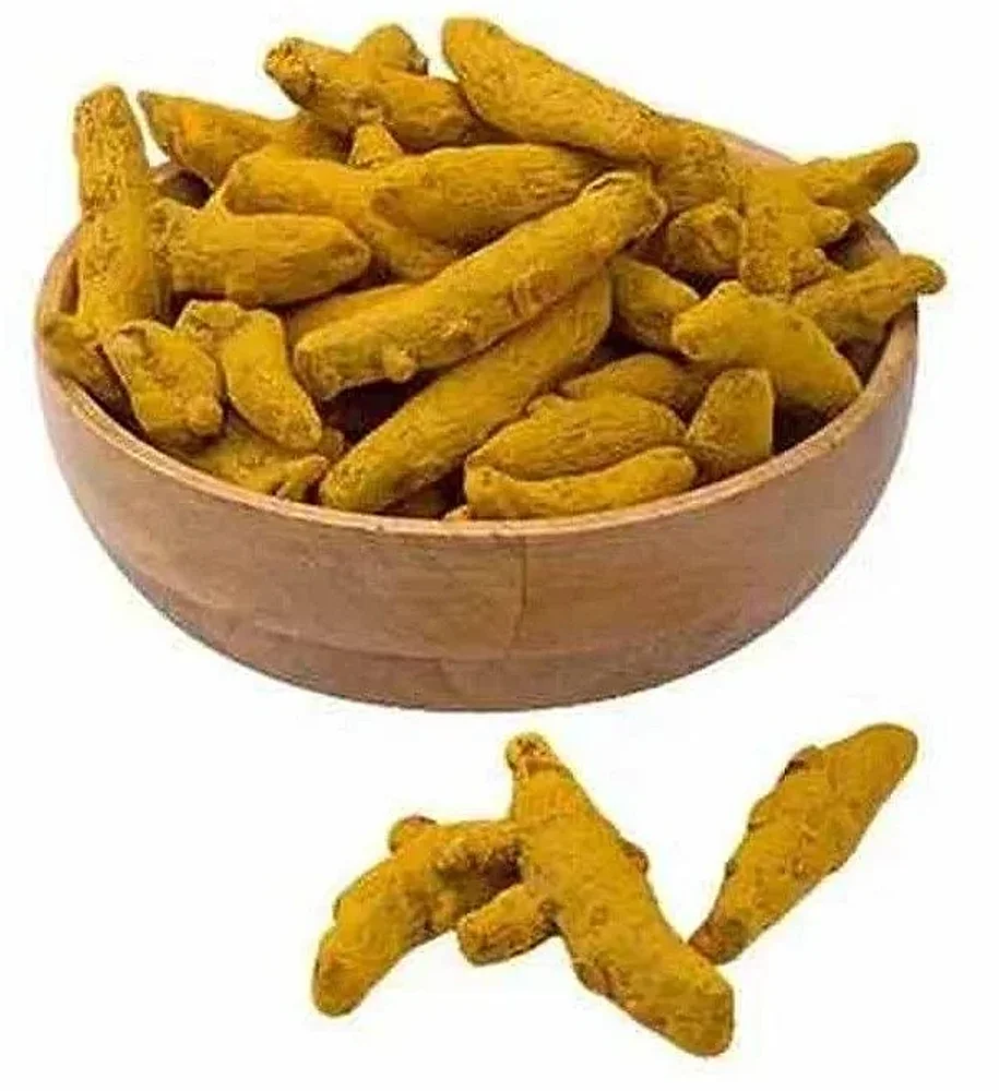 Salem Whole Turmeric Finger - Food & Agriculture by Oviya Universal LLP