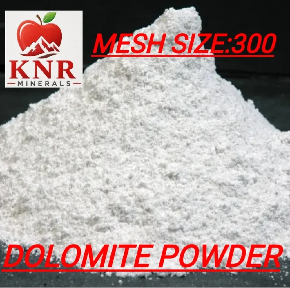 300 Mesh Dolomite Powder - Chemicals & Raw Materials by KNR Minerals&traders