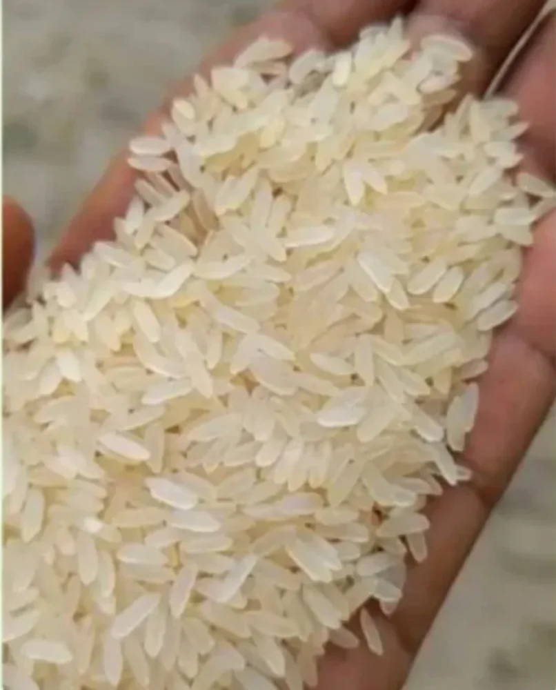 Parboiled Rice for Human Consumption - Food & Agriculture by A4 TradEx