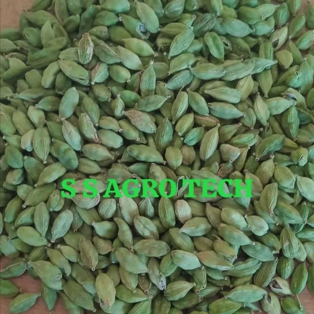 Green Cardamom Seeds - Food & Agriculture by S S Agro Tech