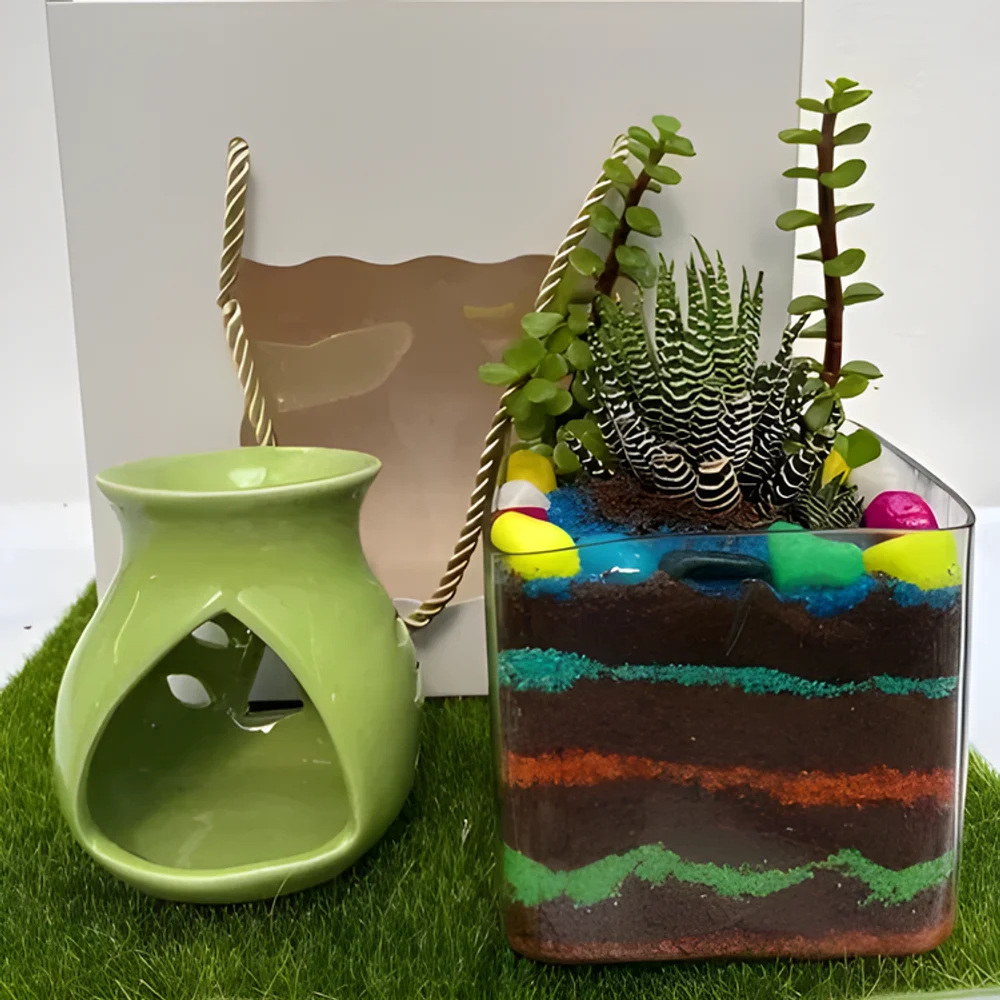 Square Glass Terrarium with Succulent Plant and Ceramic Diffuser - Home & Kitchen by Cerra and Terra Home Decor