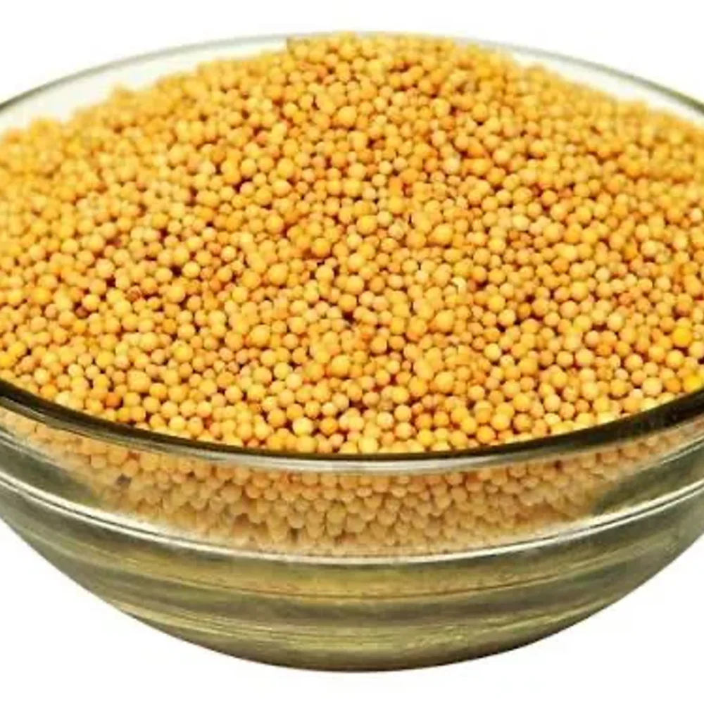 Whole Yellow Mustard Seeds - Food & Agriculture by Jhanwar Agro Bio Industries