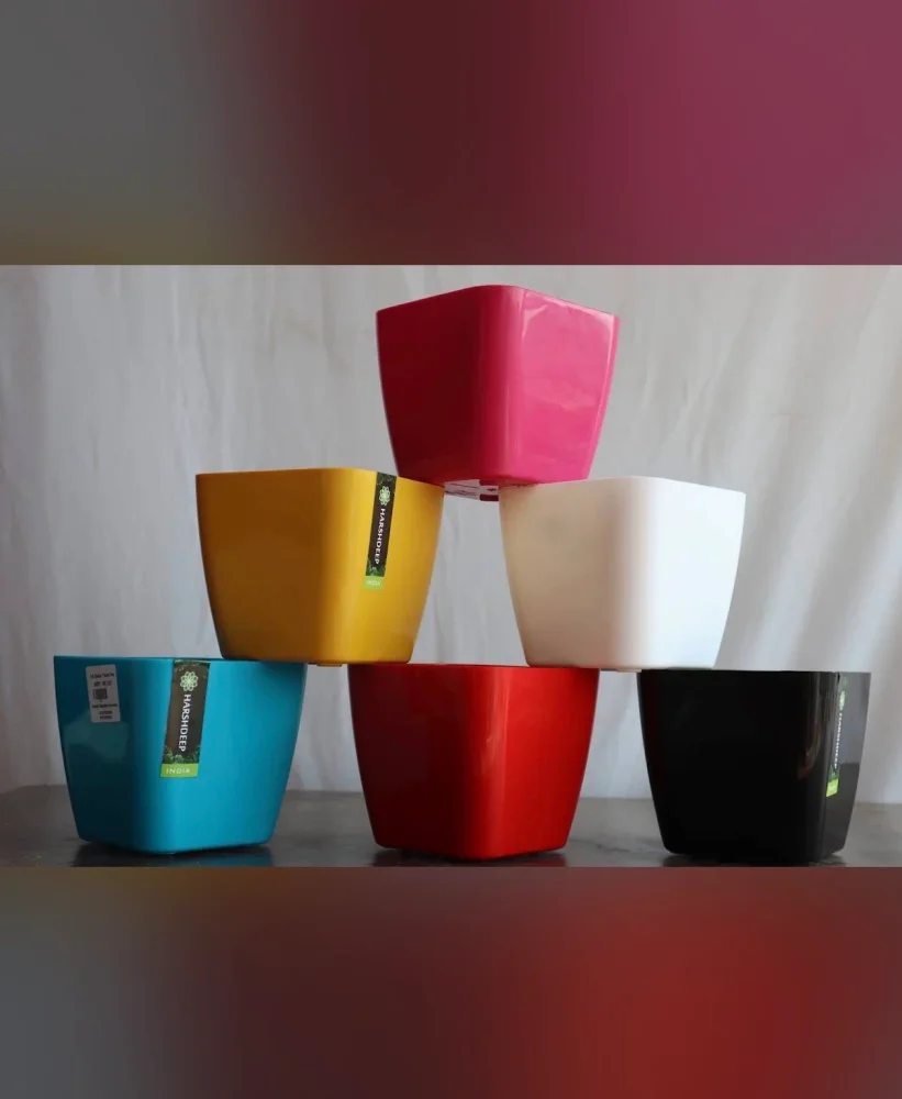 HARSHDEEP Square Plastic Planter - Home & Kitchen by Anand Garden Nursery