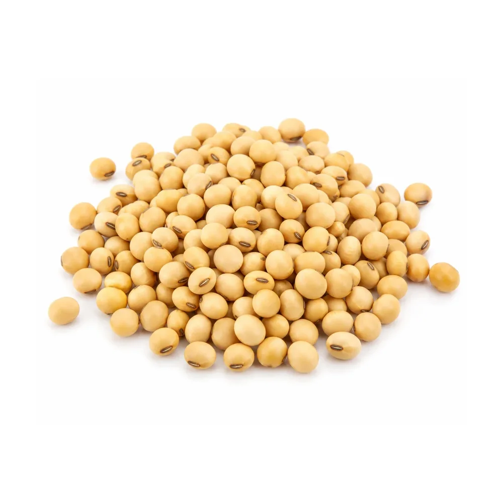 Premium Soyabean - Food & Agriculture by The Greengold Exports and Imports Pvt. Ltd.