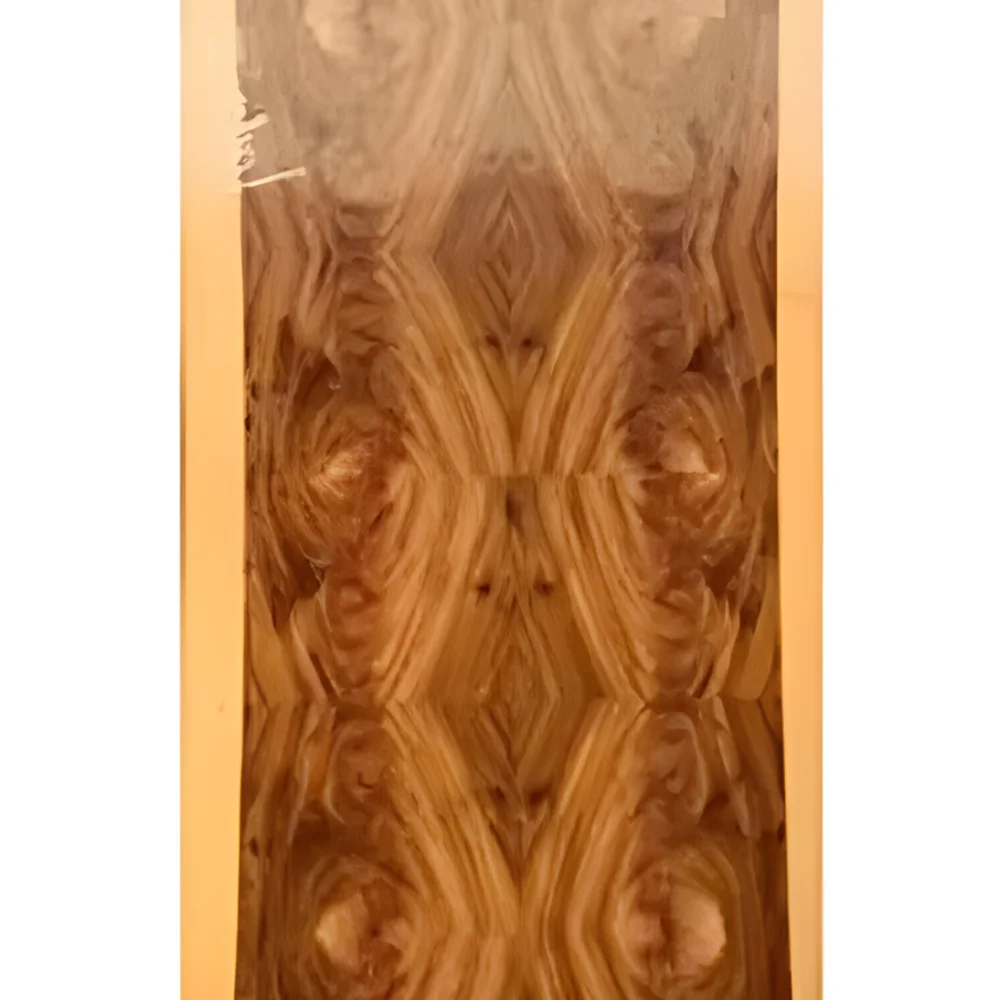 Veneer Plywood Door - Construction & Building Materials by Sri Chandra Sekhara Wood and Veneers