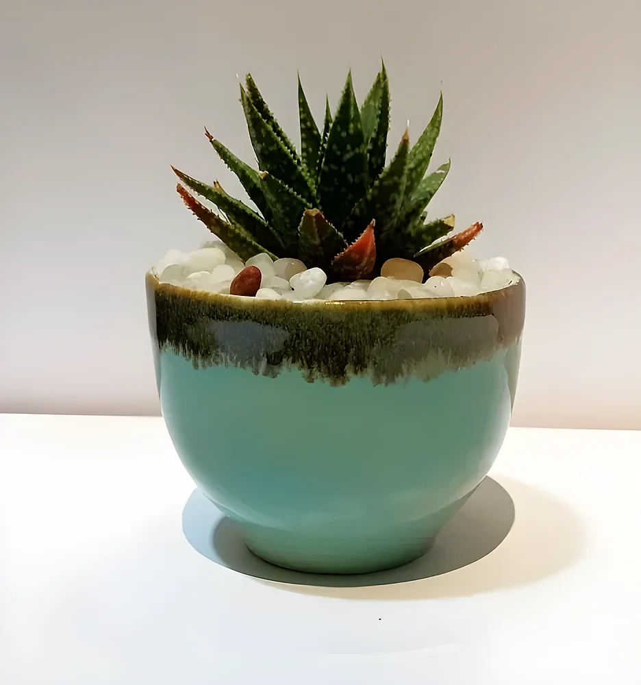 Ceramic Succulent Plant Pots - Home & Kitchen by Cerra and Terra Home Decor