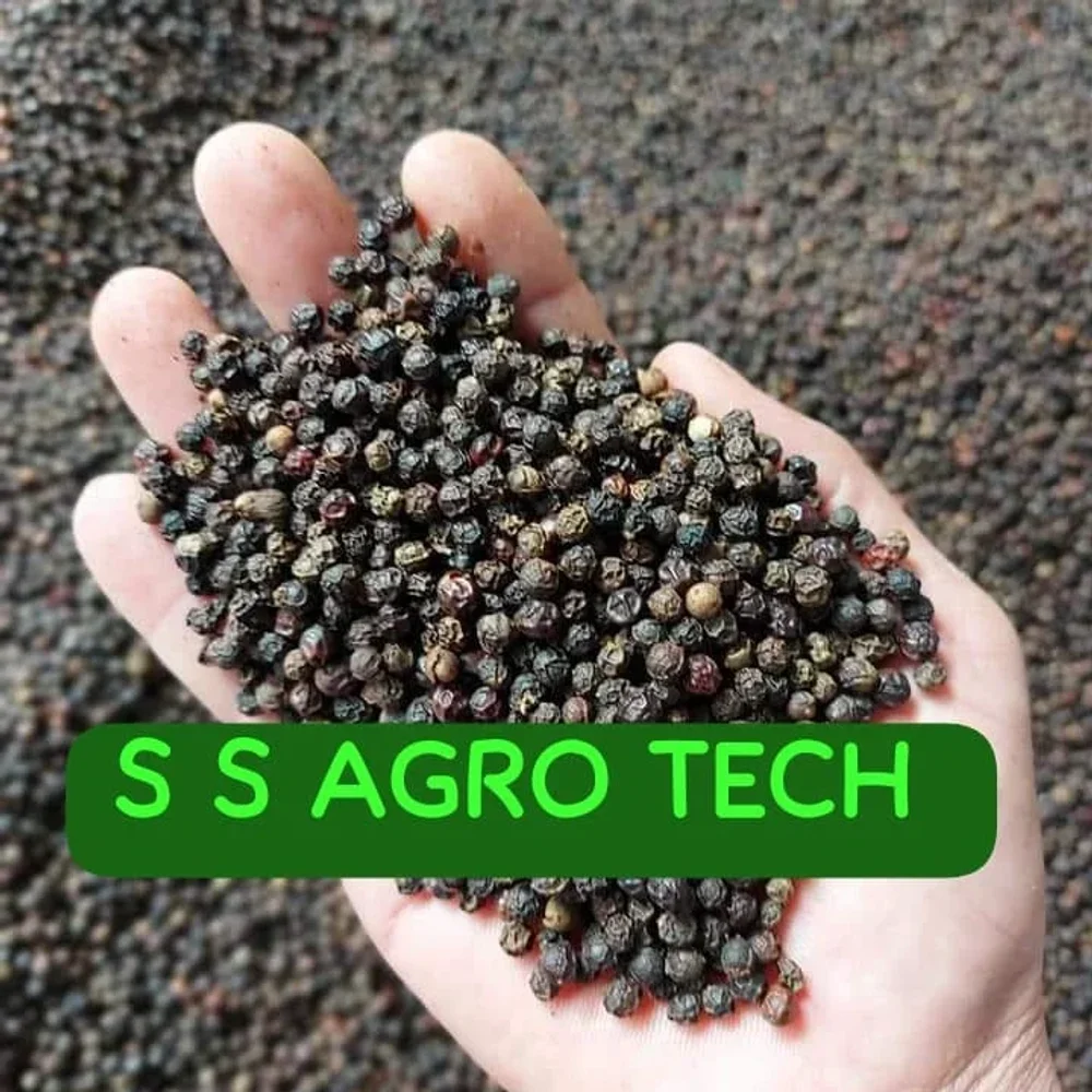 Karnataka Origin Black Pepper - Food & Agriculture by S S Agro Tech