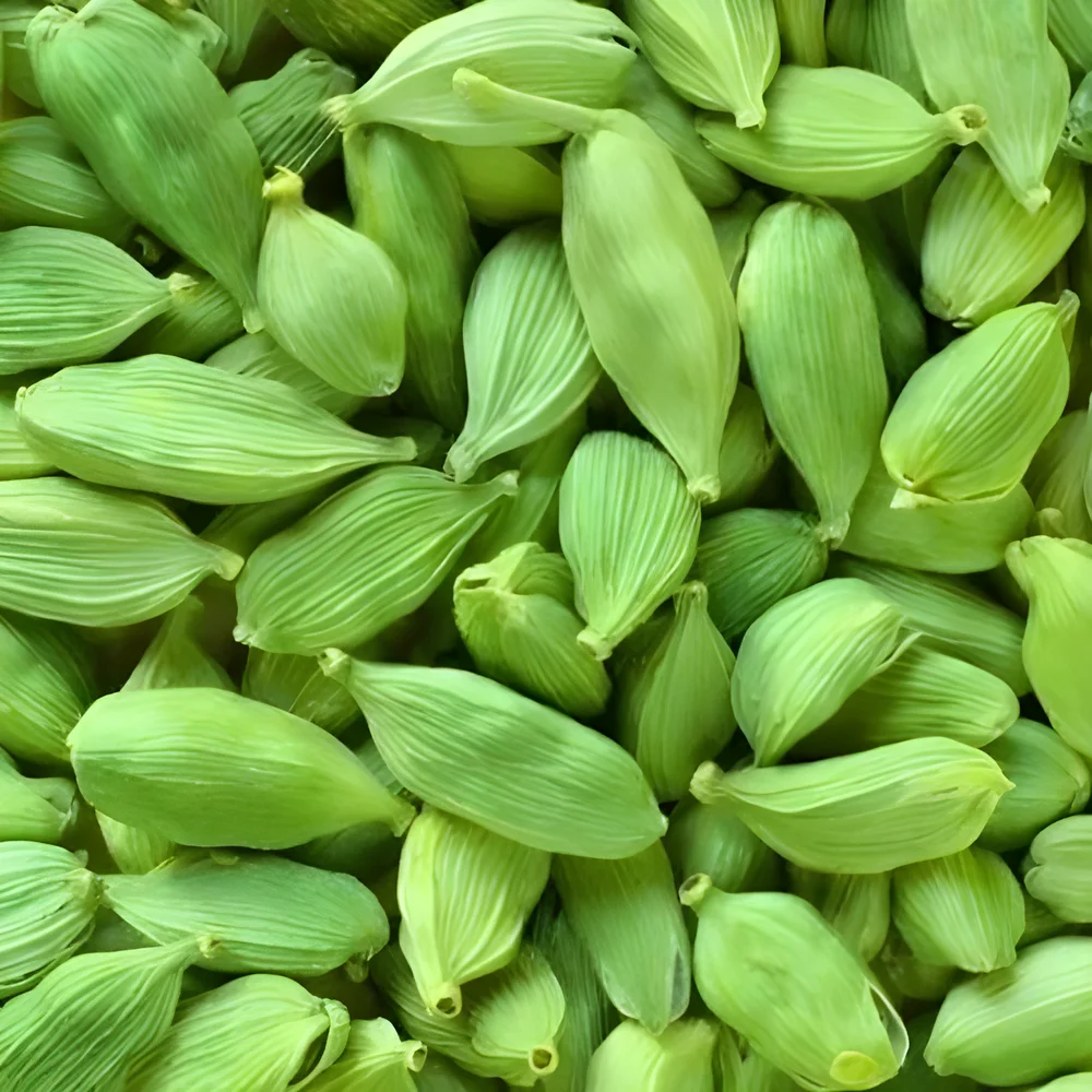 Whole Green Cardamom for Bulk Supply - Food & Agriculture by M/S. Capital Enterprise