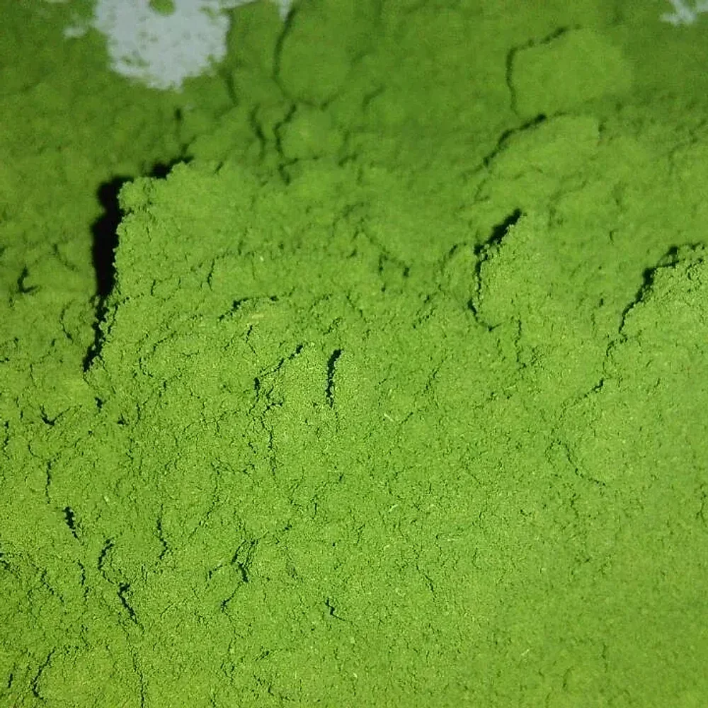 SVM Organics Moringa Oleifera Leaf Powder - Food & Agriculture by Svm Organics Pvt. Ltd.